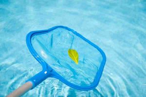 How Often Should You Clean your Backyard Pool? 1 bigstock Pool Skimmer 8210682
