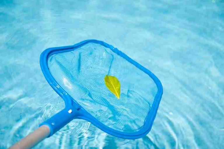 bigstock Pool Skimmer 8210682